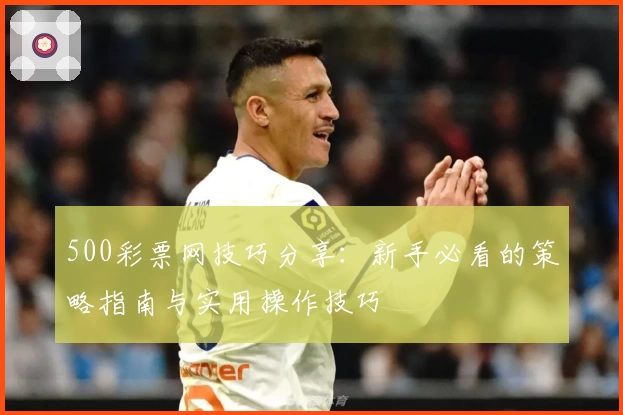 500彩票网技巧分享：新手必看的策略指南与实用操作技巧
