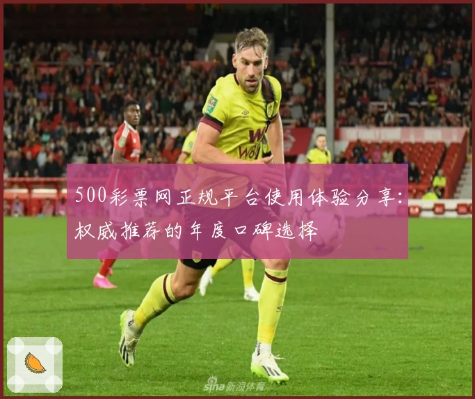 500彩票网正规平台使用体验分享:权威推荐的年度口碑选择